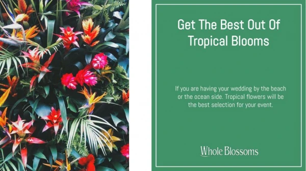 Use Gorgeous Tropical Flowers in Your Event