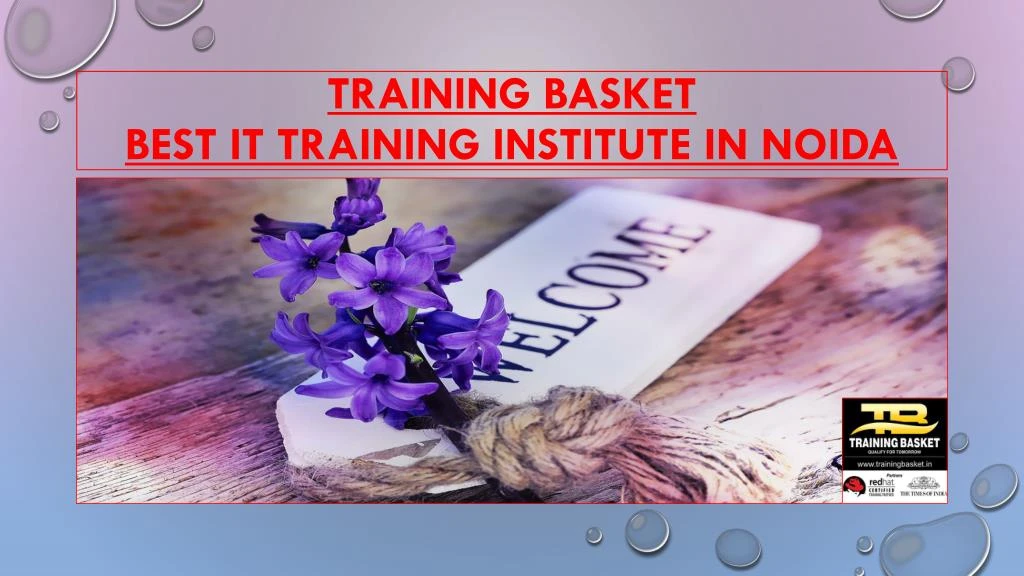 training basket best i t training institute in noida