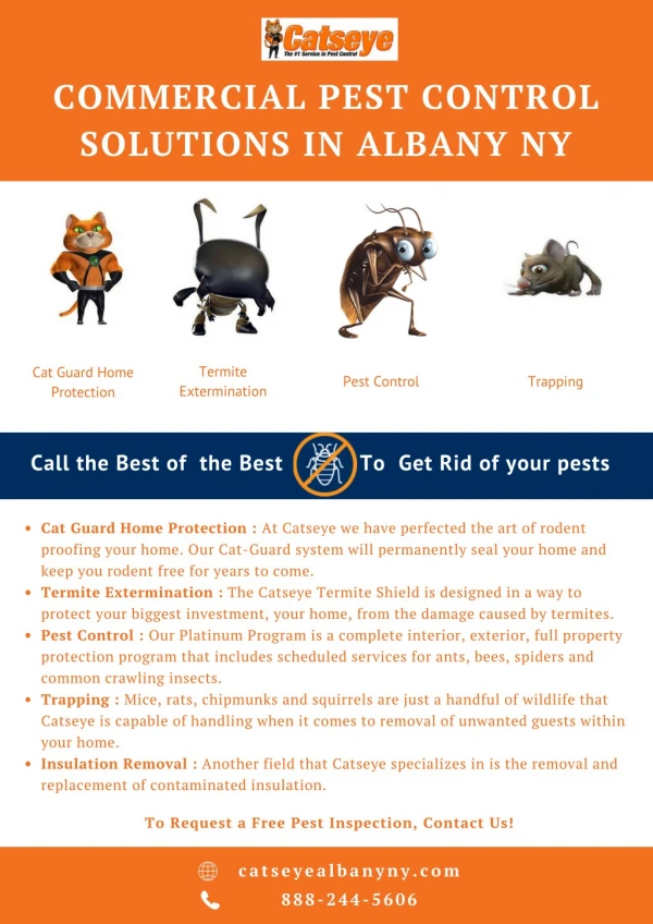Commercial Pest Control Solutions In Albany NY