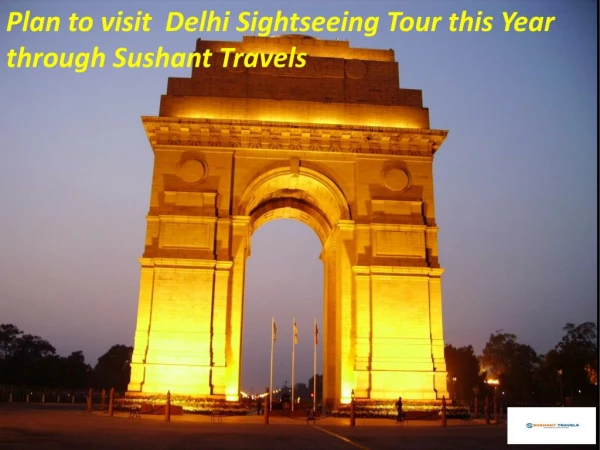 Plane to visit Delhi sightseeing Tour this year through sushant travels