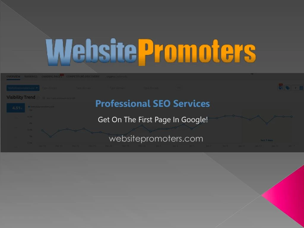 websitepromoters com