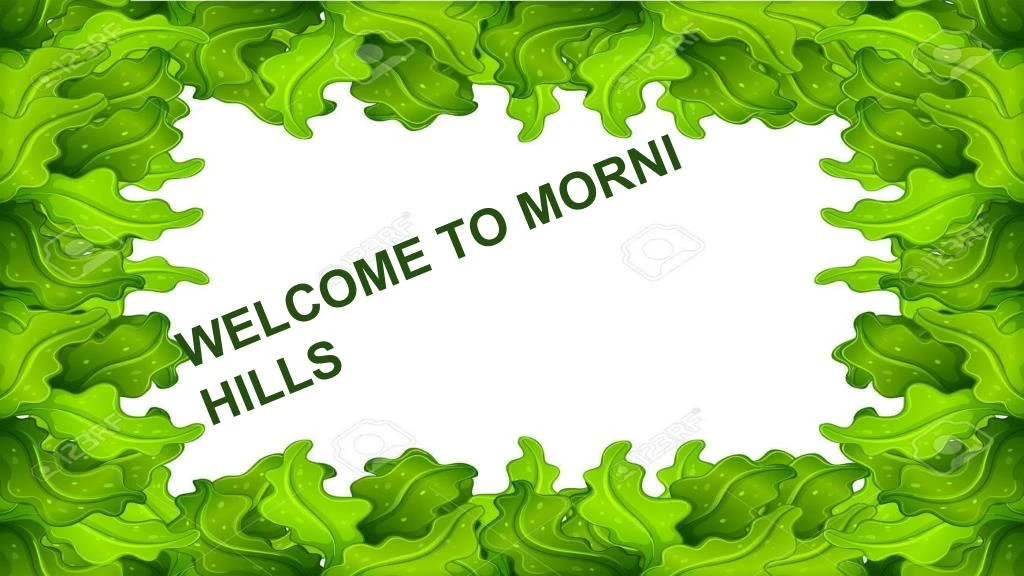 welcome to morni hills