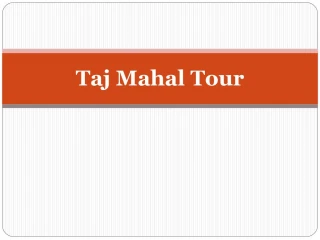 Taj Mahal Tour