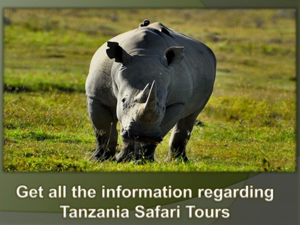 Get all the information regarding Tanzania Safari Tours