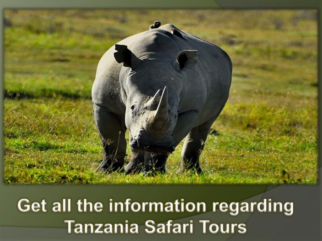 get all the information regarding tanzania safari
