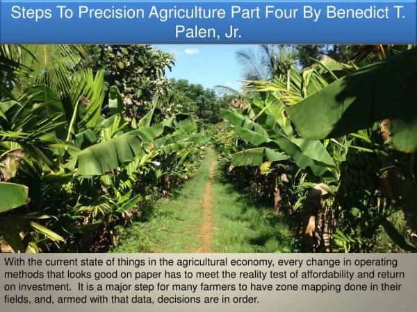 Steps To Precision Agriculture Part Four By Benedict T. Palen, Jr.