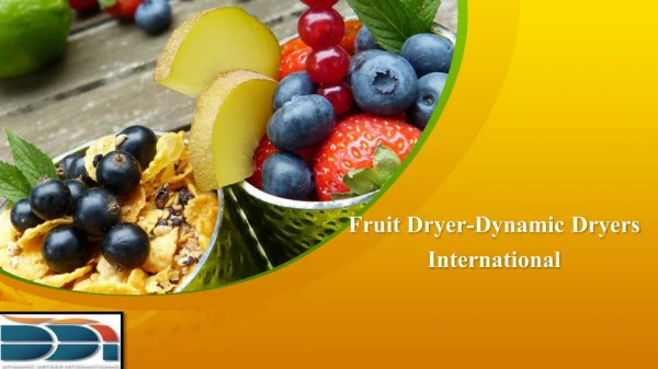 Fruit dryer dynamic dryers international