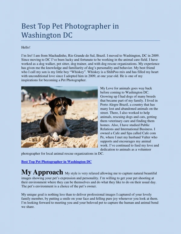 Pet Portrait Photography in Washington DC