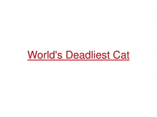 Deadliest Cat on the Planet