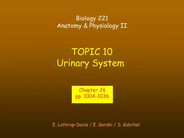 TOPIC 10 Urinary System