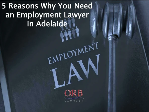 5 Reasons Why You Need an Employment Lawyer in Adelaide