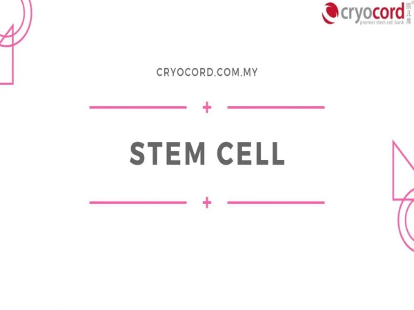 Stem Cells Explained | What are Stem Cells?
