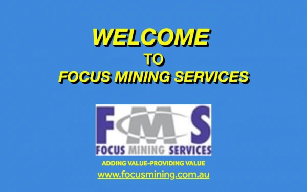 Products and Services Provided by Focus Mining