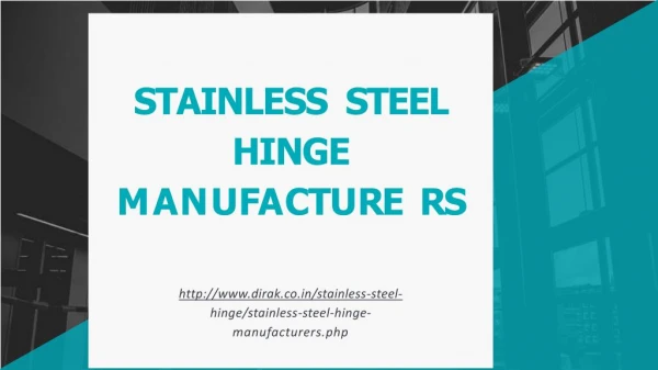 Stainless Steel Hinge manufacturers