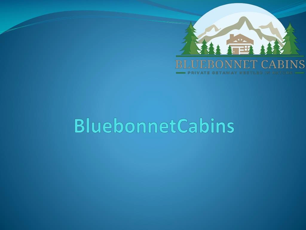 bluebonnetcabins