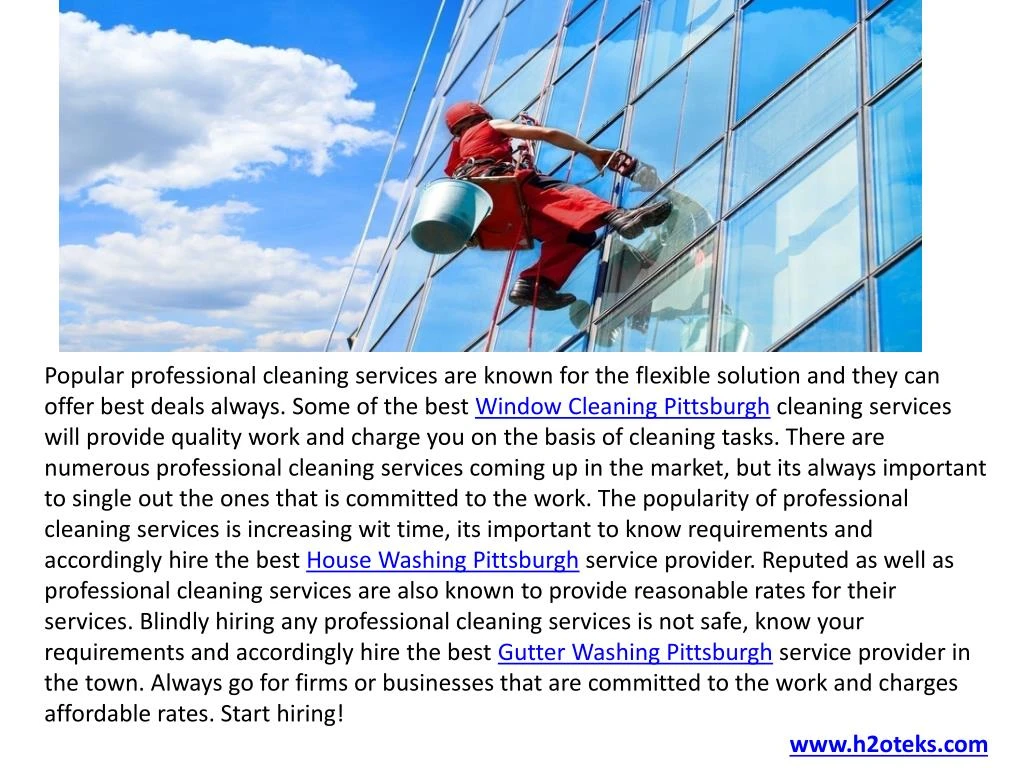 popular professional cleaning services are known