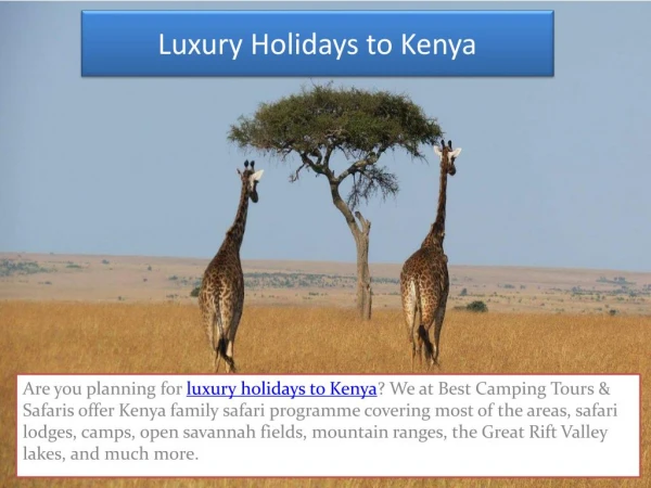 Luxury Kenya Wildlife Tours