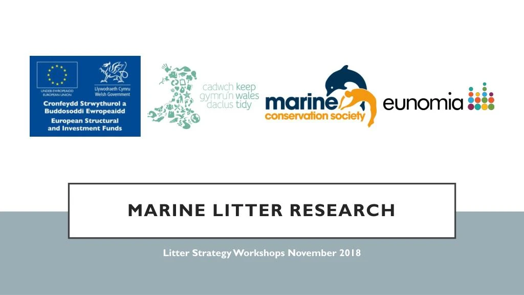 marine litter research