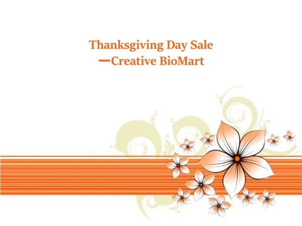 Thanksgiving Day Sale —Creative BioMart