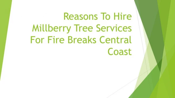 Reasons To Hire Millberry Tree Services For Fire Breaks Central Coast