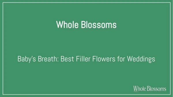 Add Fresh Baby's Breath Filler Flowers in Your Wedding Decor