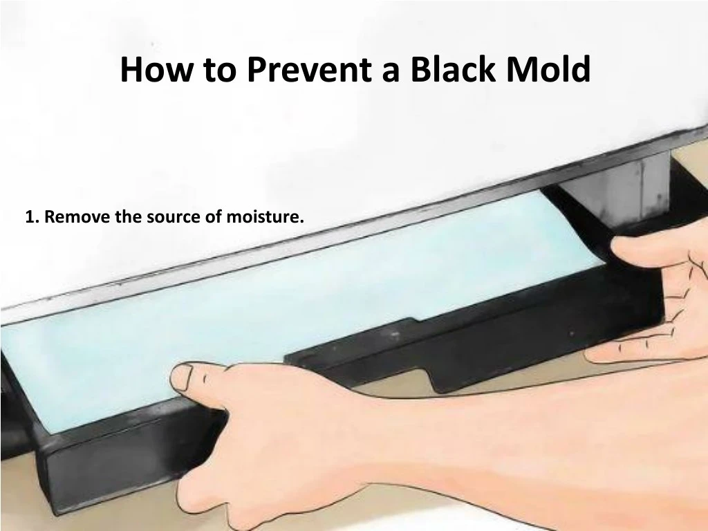 how to prevent a black mold