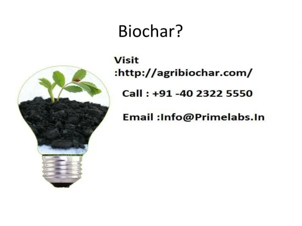 Buy biochar online with Prime Laboratories!