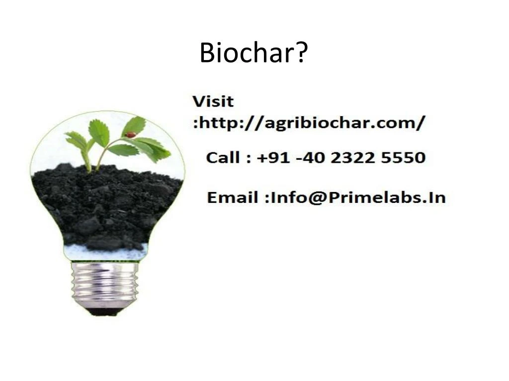 biochar