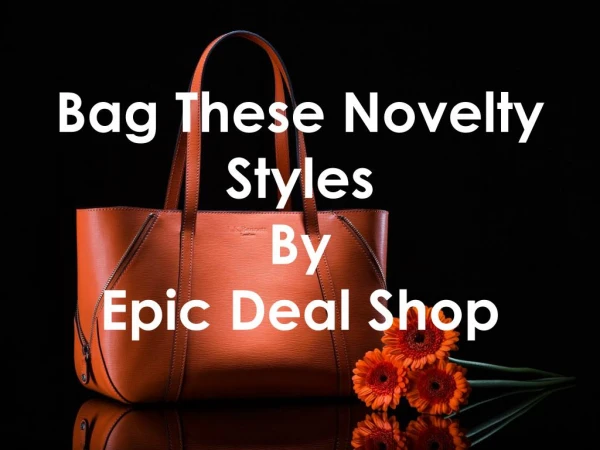 Bag These Novelty Styles and Fashion by Epic Deal Shop