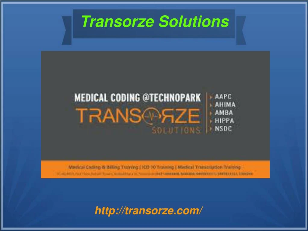 transorze solutions