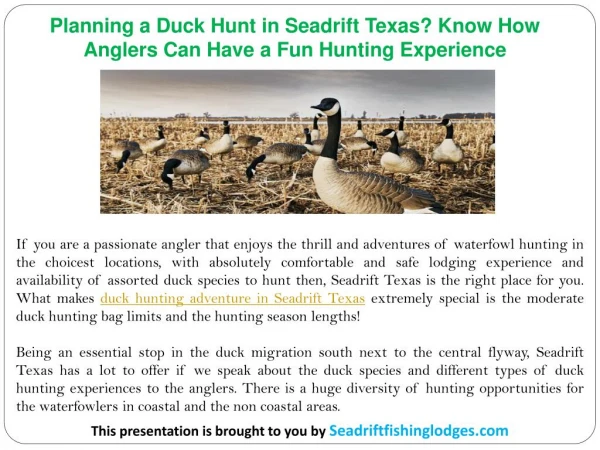 Planning a Duck Hunt in Seadrift Texas? Know How Anglers Can Have a Fun Hunting Experience