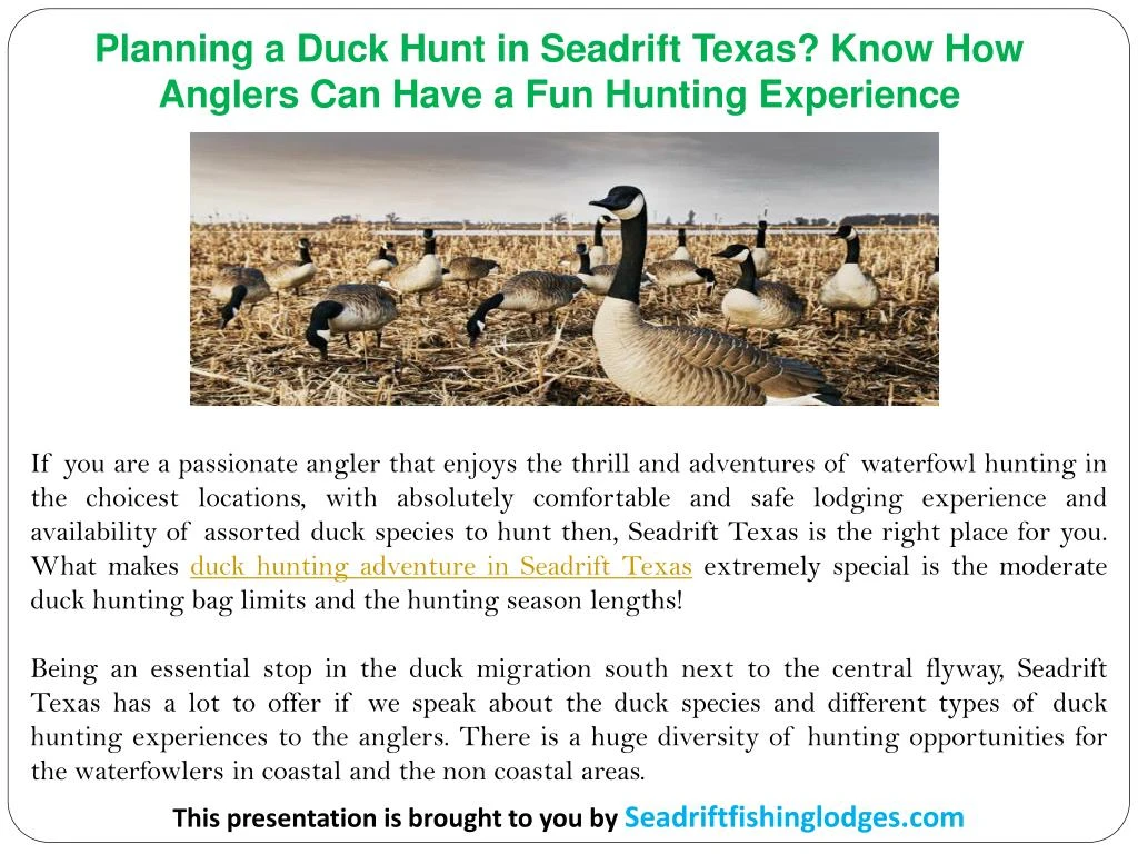 planning a duck hunt in seadrift texas know
