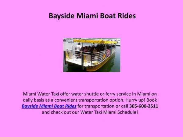 Bayside Miami Boat Rides