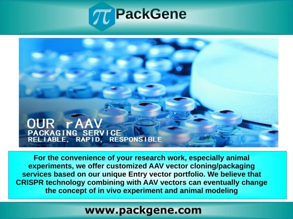 Aav packaging service