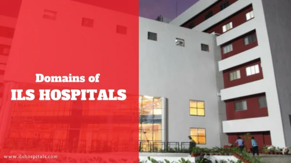 Domains of ILS Hospitals