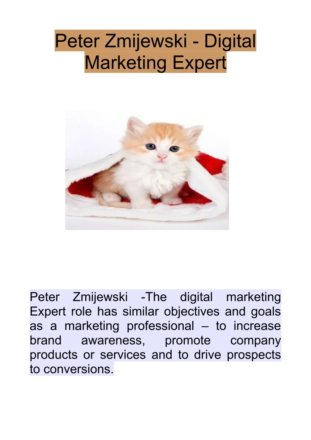 peter zmijewski digital marketing expert