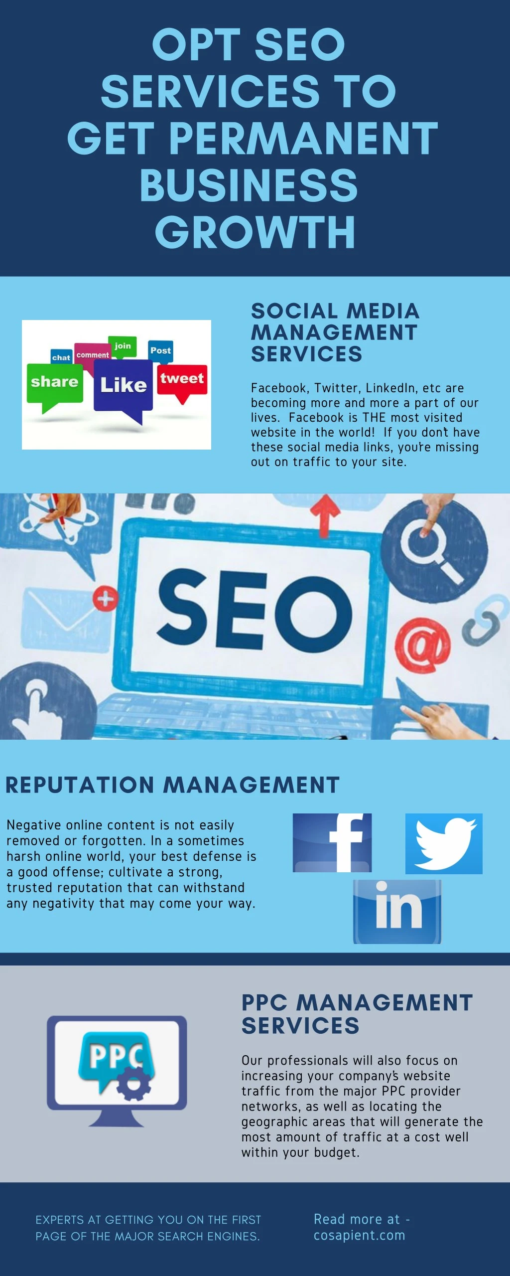 opt seo services to get permanent business growth