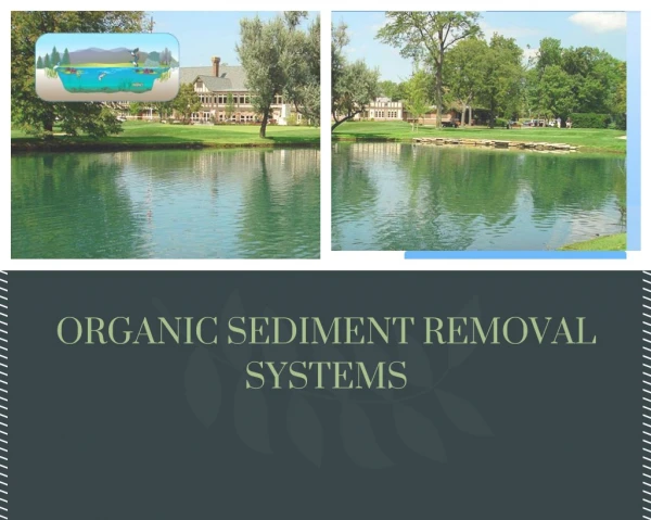 Organic Sediment Removal Systems