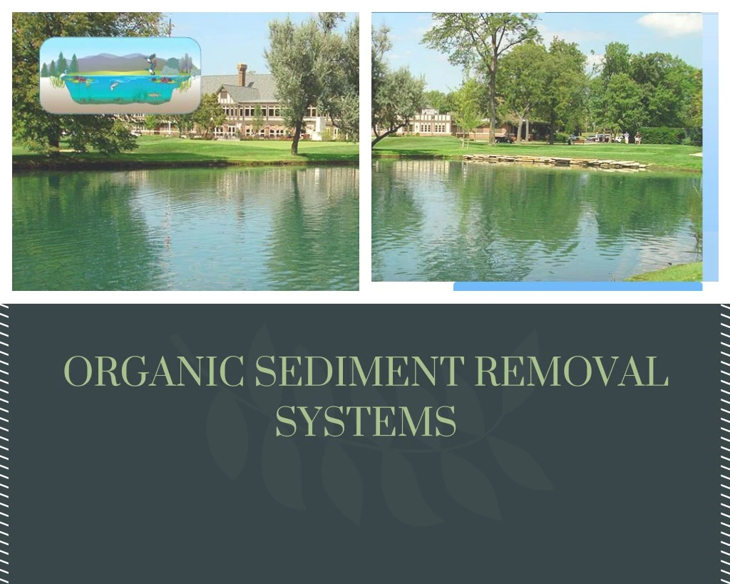 organic sediment removal systems
