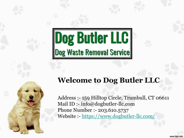 Dog Waste Removal in Trumbull at Dog Butler LLC