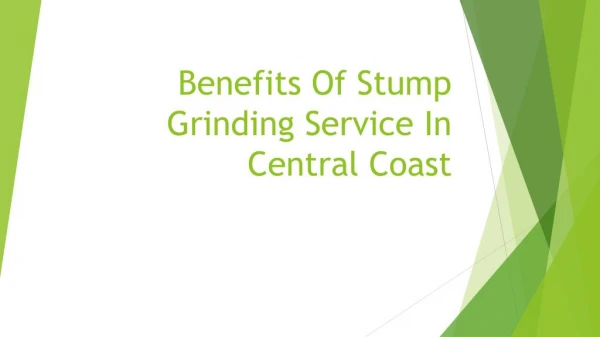 Benefits Of Stump Grinding Service In Central Coast