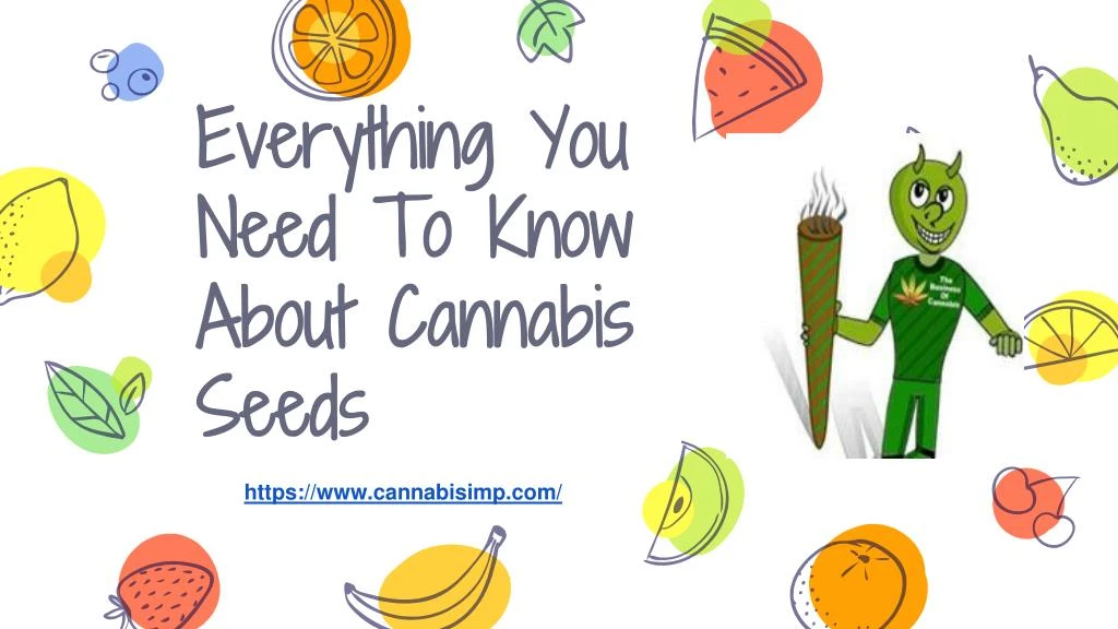 everything you need to know about cannabis seeds