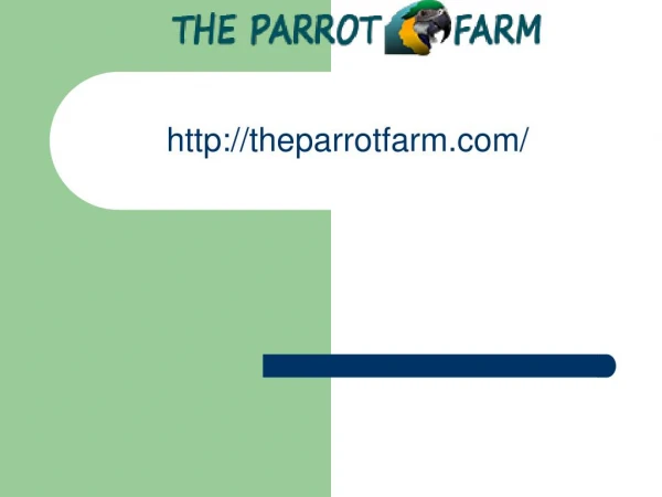 The Parrot Farm | Parrots for sale, Birds For sale, Parrot Eggs for sale