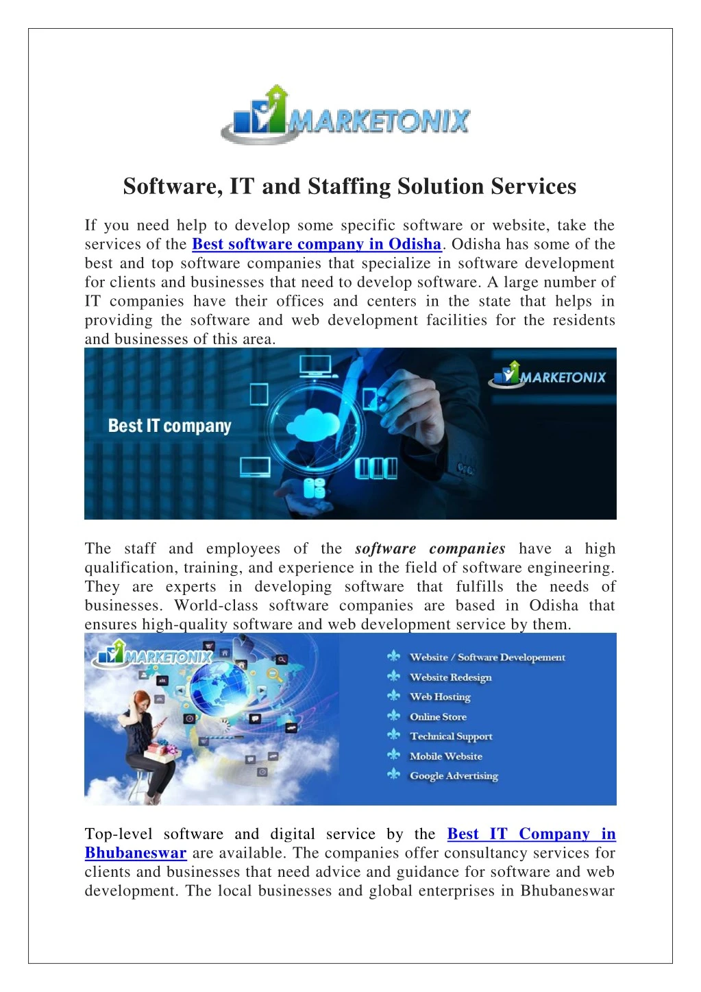 software it and staffing solution services