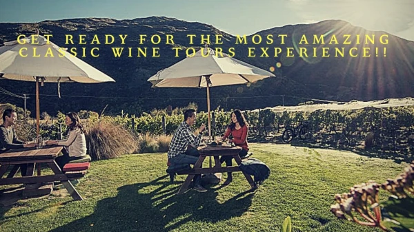 Get ready for the most amazing Classic wine tours experience!!