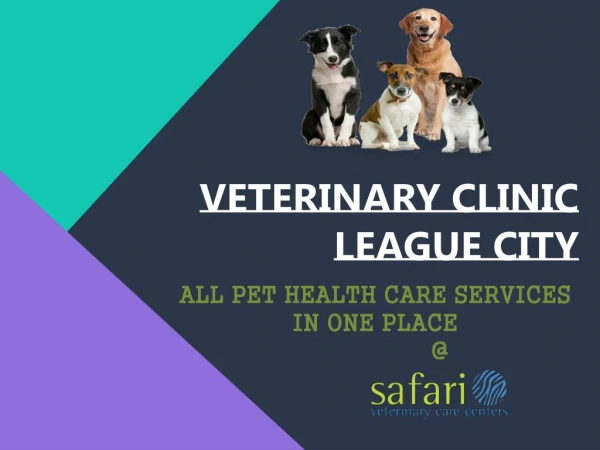 All Pet Health Care Services in One Place - Safari Vet, League City, TX