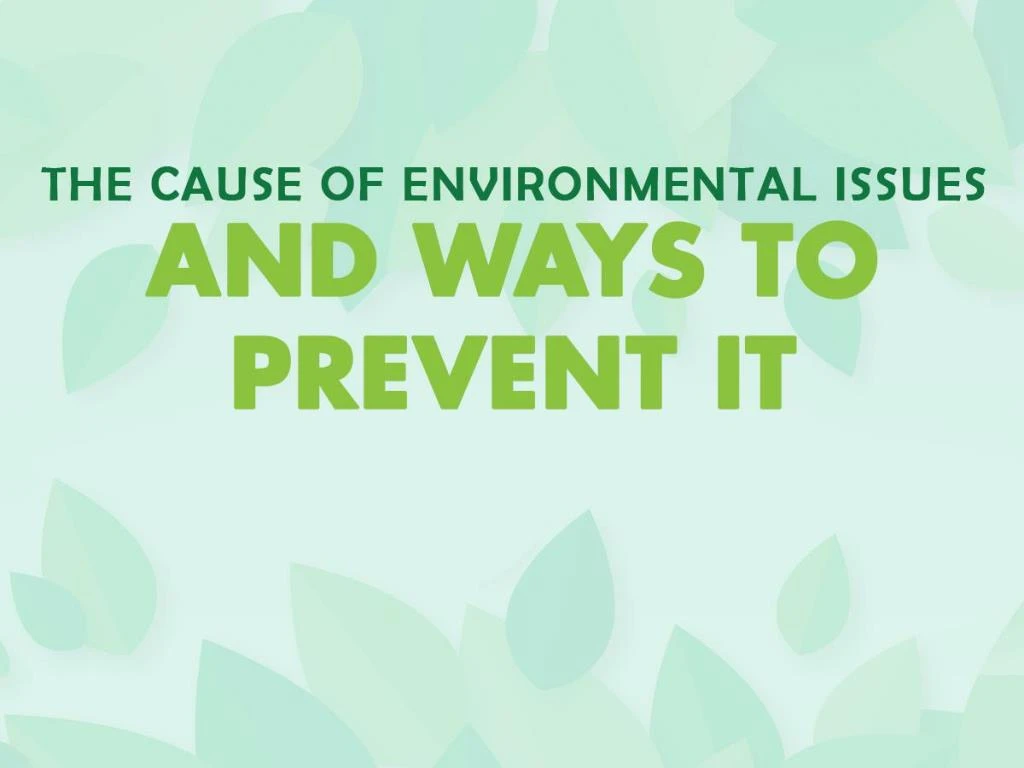 the causes of environmental issues and ways