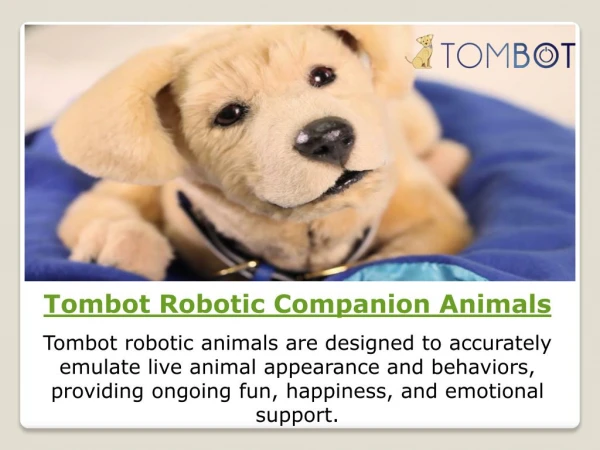 Tombot Robotic Companion Animals | Home