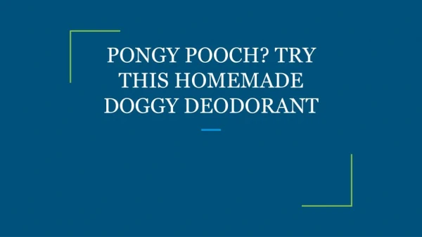 PONGY POOCH? TRY THIS HOMEMADE DOGGY DEODORANT