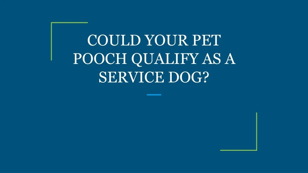 could your pet pooch qualify as a service dog